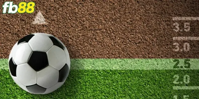 Hướng dẫn cách đọc kèo bóng đá