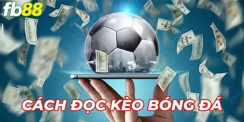 Lưu ý cần thiết trong cách đọc kèo bóng đá